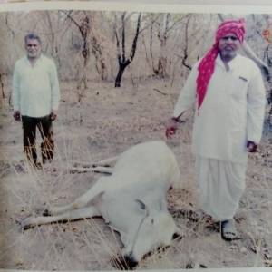 setakari_arthika_sahayya-1_original