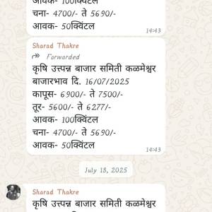 WhatsApp_Image-1_original