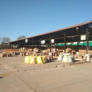 tina_seda_2_original