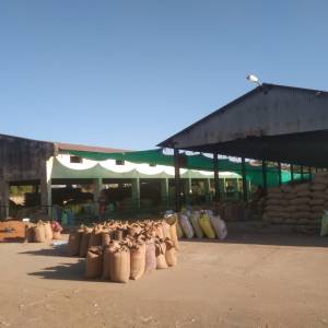 Grin_Market_original