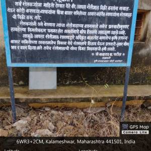 Gran_Market_original